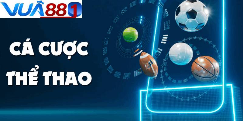Trang cược cung cấp đầy đủ các môn thể thao chuyên nghiệp