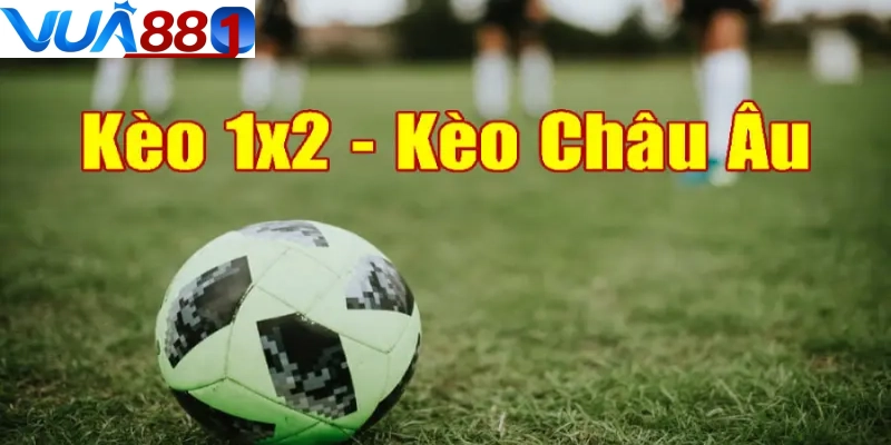 Tỷ lệ cá cược bóng đá châu Âu đơn giản, phù hợp người mới Tỷ lệ cá cược bóng đá châu Âu đơn giản, phù hợp người mới