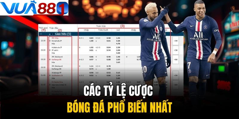 Các loại tỷ lệ cá cược bóng đá người chơi cần biết