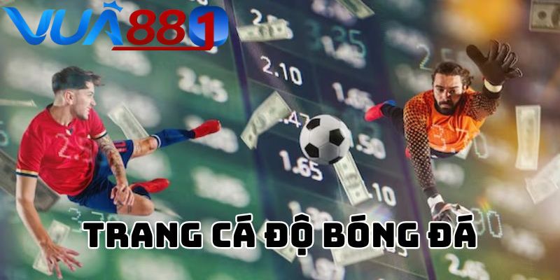 Web cá độ bóng đá VUA88 luôn được người chơi đánh giá tốt.