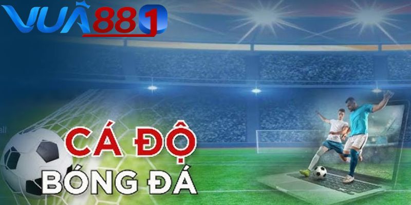 Web cá độ bóng đá VUA88 – Tỷ lệ cực ngon, thắng lớn